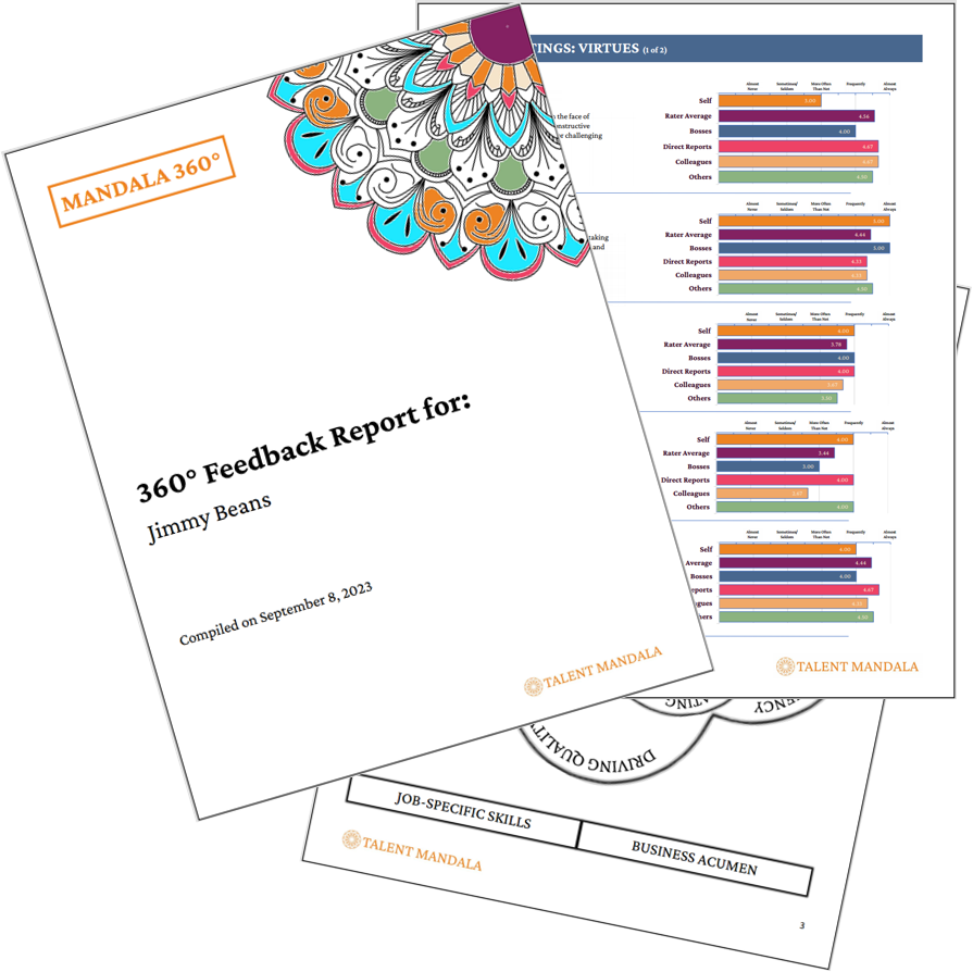 Mandala 360 degree feedback survey sample report