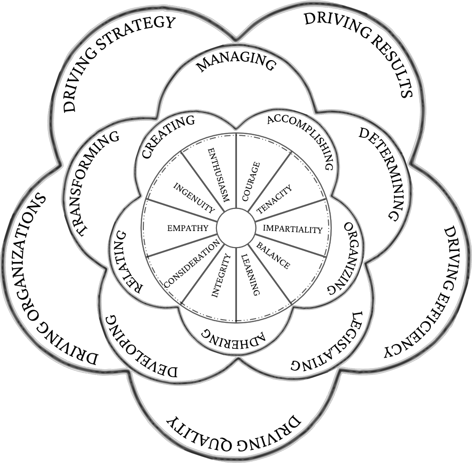 mandala competency model